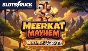 Meerkat Mayhem